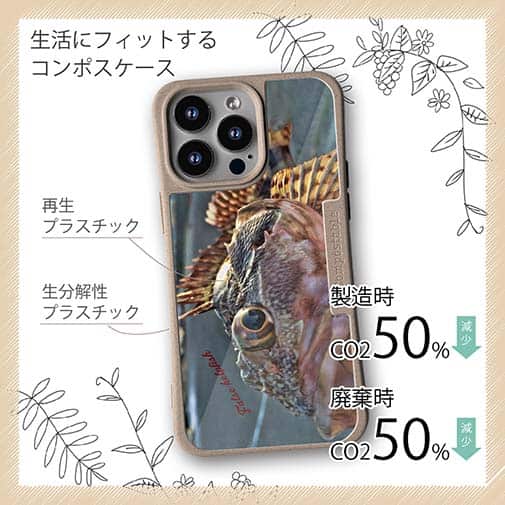 【Compos-Case】カサゴのハンドランディング