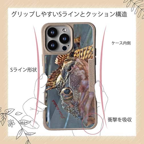 【Compos-Case】カサゴのハンドランディング