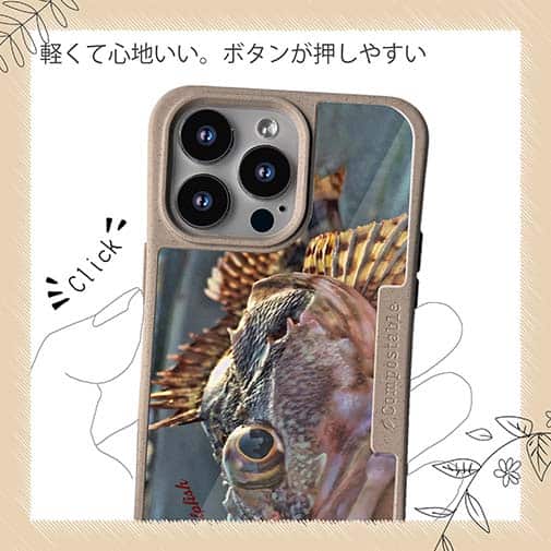 【Compos-Case】カサゴのハンドランディング