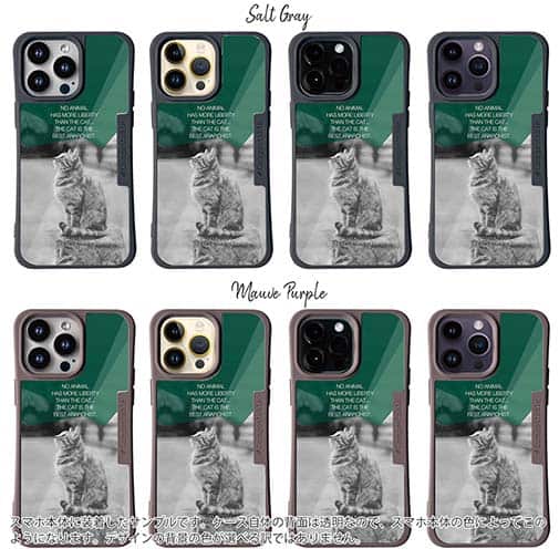 【Compos-Case】ヘミングウェイの猫とは…