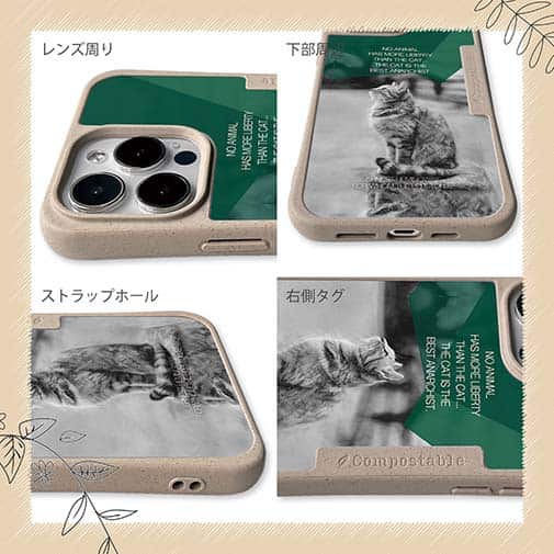 【Compos-Case】ヘミングウェイの猫とは…