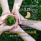 【Compos-Case】コンポスケース Google Pixel8a専用