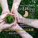 【Compos-Case】コンポスケース　カードスロット付き　モスグリーン