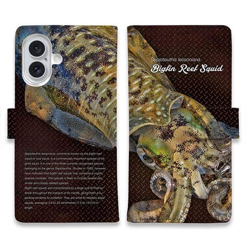 【手帳型】エギングにアオリイカ