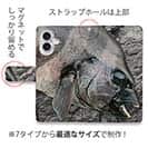 【手帳型】イシダイの強靭な歯