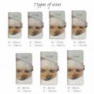 起きた瞬間のトイプードル