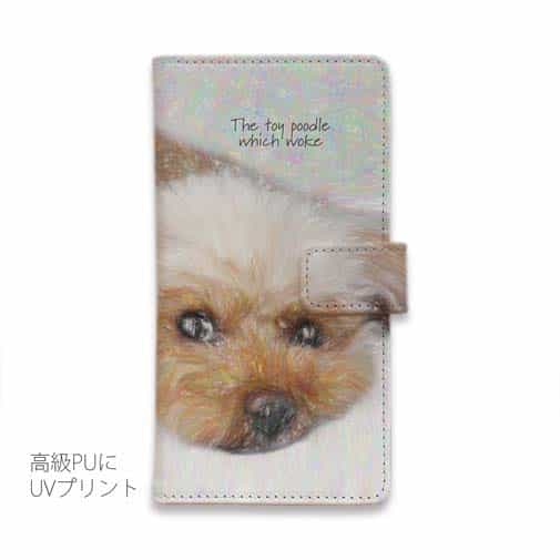 起きた瞬間のトイプードル