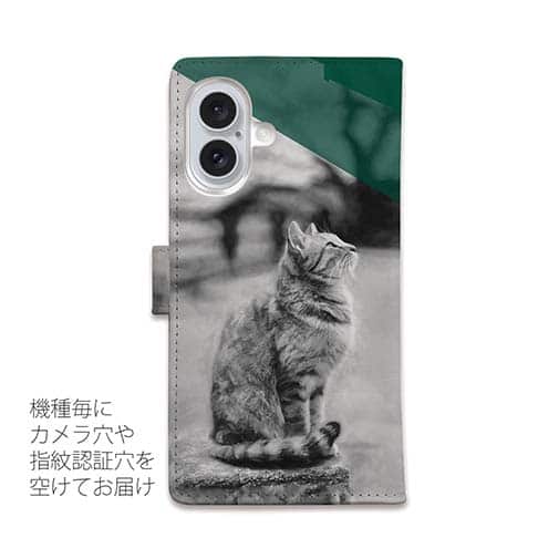 【手帳型】ヘミングウェイの猫とは…