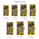 【手帳型】【FISH MAN】LURE! lure! LURE! カラーVer.