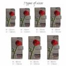 【Genuine】【手帳型】薔薇 　英字　新聞