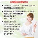 【手帳型】【FISH MAN】ハードロックフィッシュゲーム グリーン