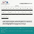 表札 正方形 Mode Doorplate Inc. 明朝体 マットシルバー