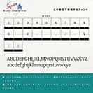 表札 正方形 Mode Doorplate Inc. 筆文字 マットシルバー