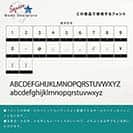 表札 長方形 Mode Doorplate Inc. ゴシック体 文字マットシルバー