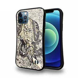 【S-LINE】エギングでアオリイカ