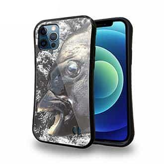 【S-LINE】イシダイの強靭な歯