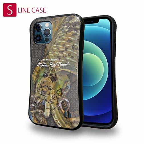 【S-LINE】エギングにアオリイカ