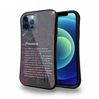 【S-LINE】ピラルクの鱗