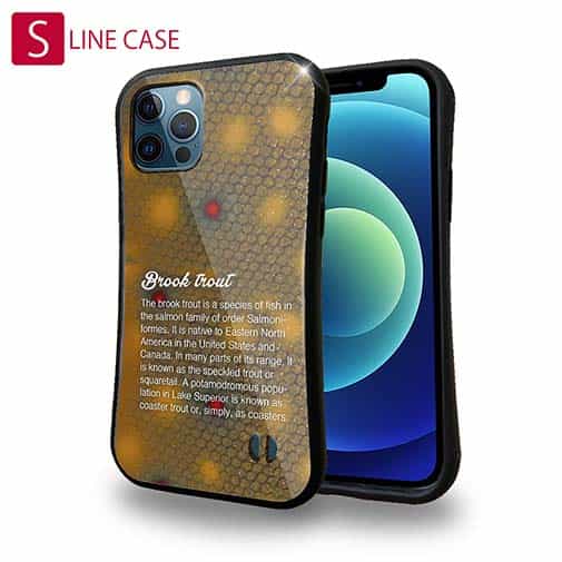 【S-LINE】ブルックトラウトの鱗