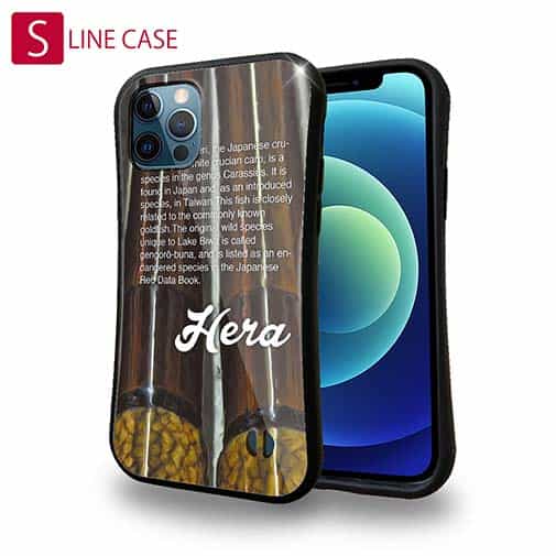 【S-LINE】ヘラブナ釣り