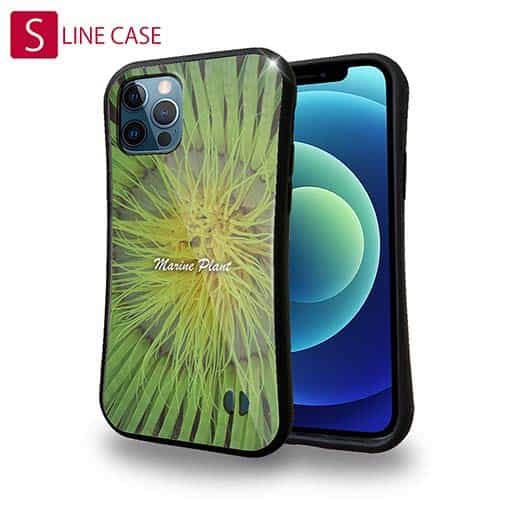 【S-LINE】サンゴ　#2