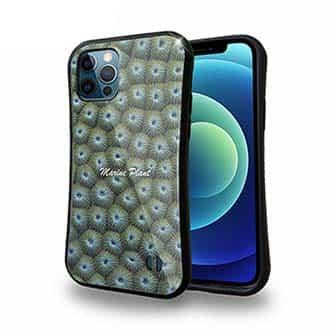 【S-LINE】サンゴ　#12