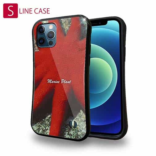 【S-LINE】サンゴ　#18