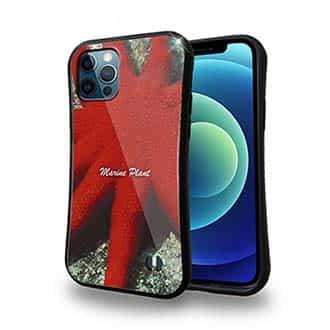 【S-LINE】サンゴ　#18