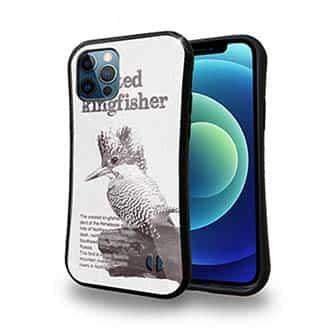 【S-LINE】源流の番人ヤマセミ