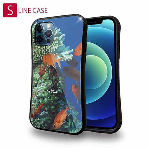 【S-LINE】熱帯魚 No.1 マツカサ類