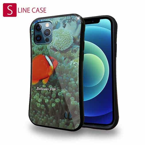 【S-LINE】熱帯魚 No.3 ハマクマノミ