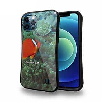 【S-LINE】熱帯魚　No.3　ハマクマノミ