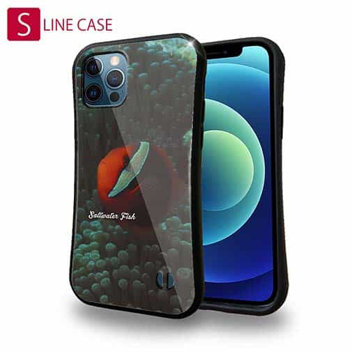 【S-LINE】熱帯魚 No.5 ハマクマノミ