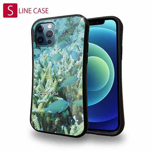 【S-LINE】熱帯魚 No.6 デバスズメ