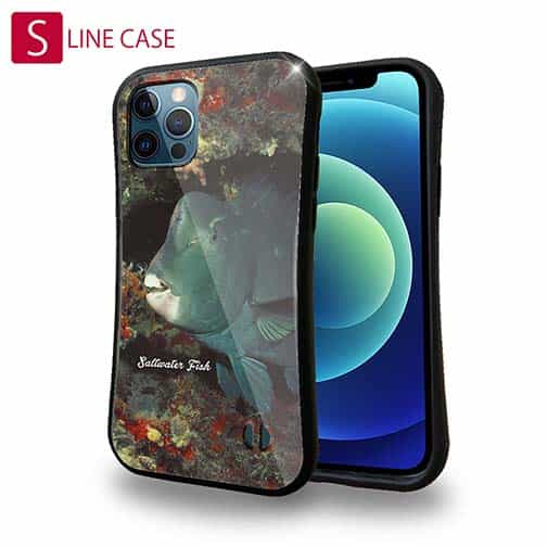 【S-LINE】熱帯魚 No.7 アオブダイ