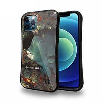 【S-LINE】熱帯魚　No.7　アオブダイ