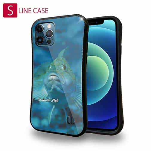 【S-LINE】熱帯魚 No.9 クジメ