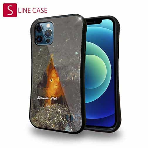 【S-LINE】熱帯魚 No.10 ウイゴンベ