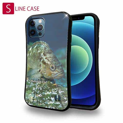 【S-LINE】熱帯魚 No.11 メバル