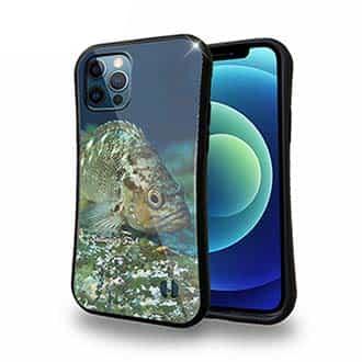 【S-LINE】熱帯魚　No.11　メバル