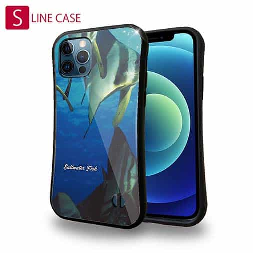 【S-LINE】熱帯魚　No.13　ツバメウオの群れ