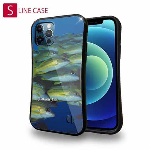 【S-LINE】熱帯魚　No.14　ヨスジフエダイ