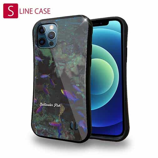 【S-LINE】熱帯魚　No.15　ベラの飛翔