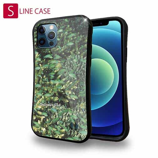 【S-LINE】熱帯魚　No.16　デバスズメダイの群れ2