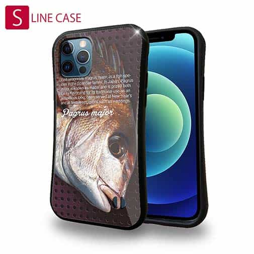 【S-LINE】マダイ