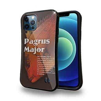 【S-LINE】ジャジーなマダイ