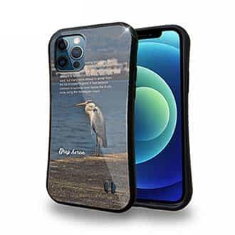 【S-LINE】アオサギ