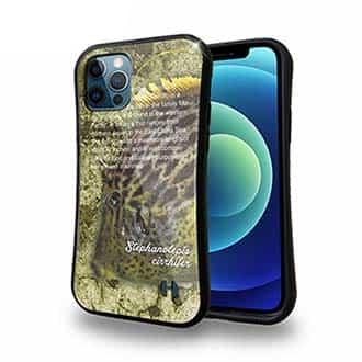 【S-LINE】カワハギ