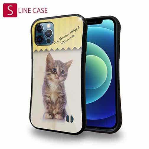 【S-LINE】kitten sits 座る子猫