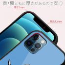 【S-LINE】とぼけた顔のアオアシカツオドリ(wakat)